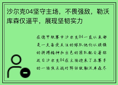 沙尔克04坚守主场，不畏强敌，勒沃库森仅逼平，展现坚韧实力